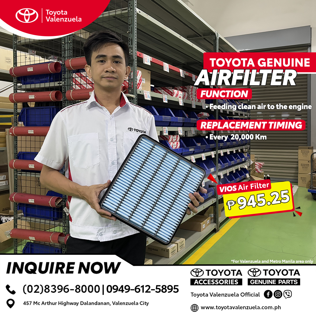 TOYOTA Air Filter