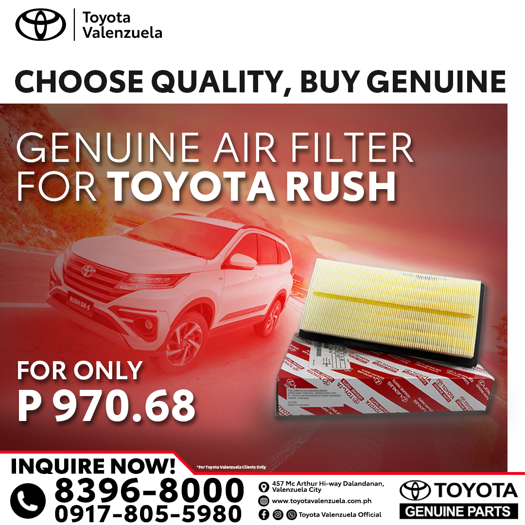 TOYOTA RUSH AIR FILTER